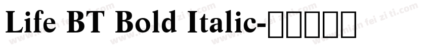 Life BT Bold Italic字体转换